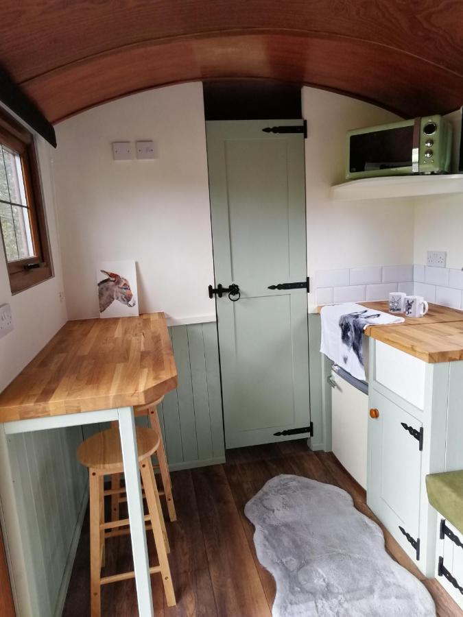 Durham donkey rescue Shepherds hut Hotel Buitenkant foto