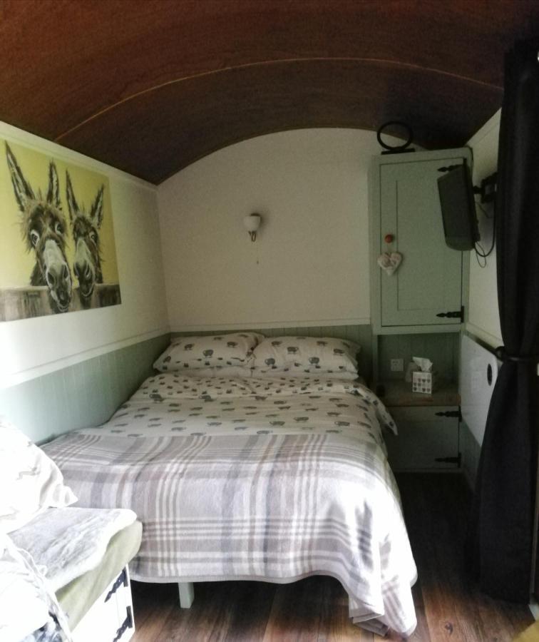 Durham donkey rescue Shepherds hut Hotel Buitenkant foto