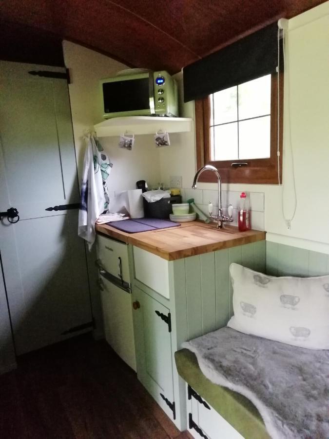 Durham donkey rescue Shepherds hut Hotel Buitenkant foto