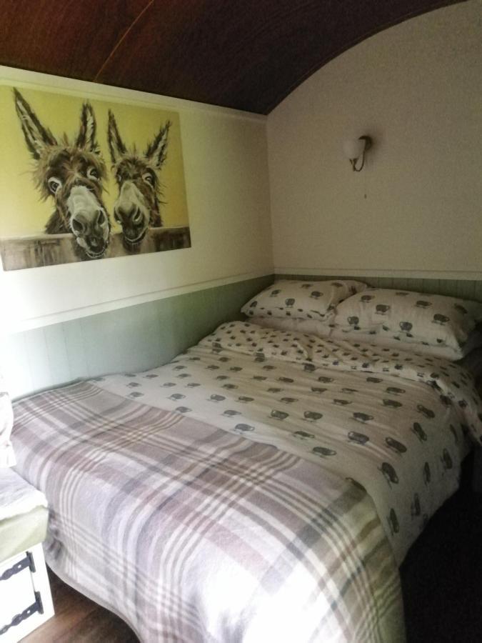 Durham donkey rescue Shepherds hut Hotel Buitenkant foto