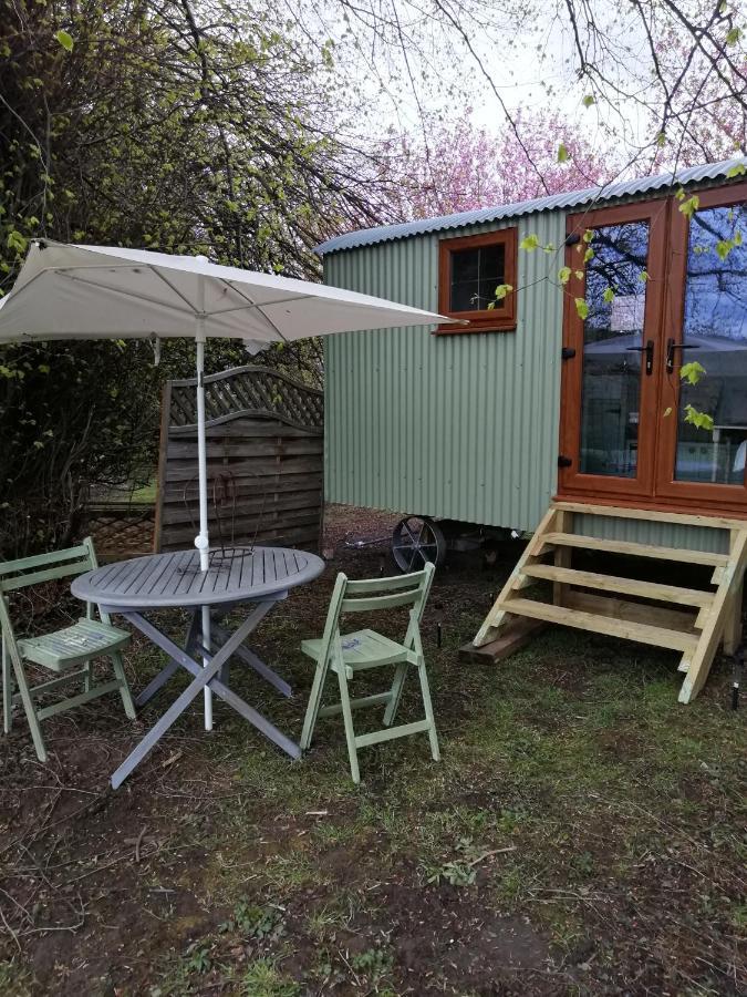 Durham donkey rescue Shepherds hut Hotel Buitenkant foto