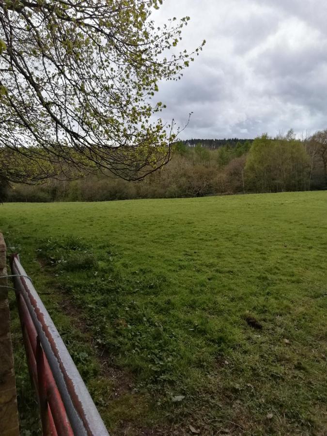 Durham donkey rescue Shepherds hut Hotel Buitenkant foto