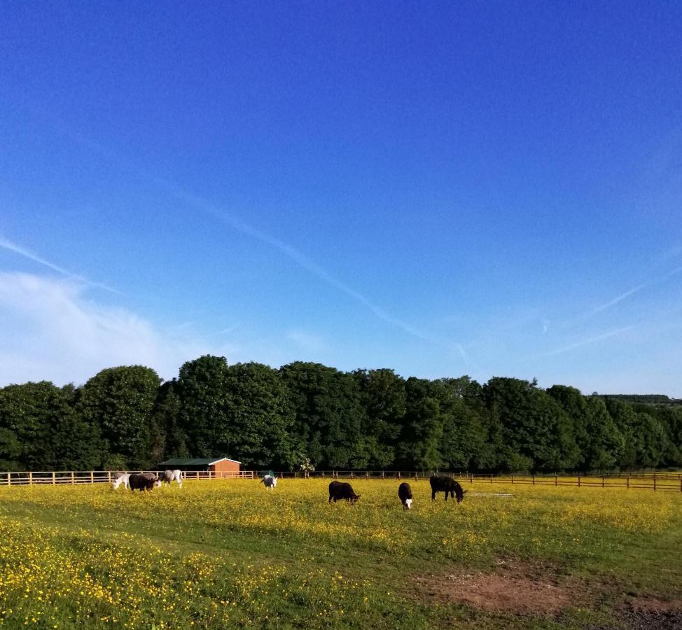 Durham donkey rescue Shepherds hut Hotel Buitenkant foto