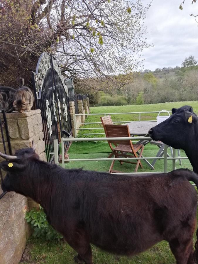 Durham donkey rescue Shepherds hut Hotel Buitenkant foto