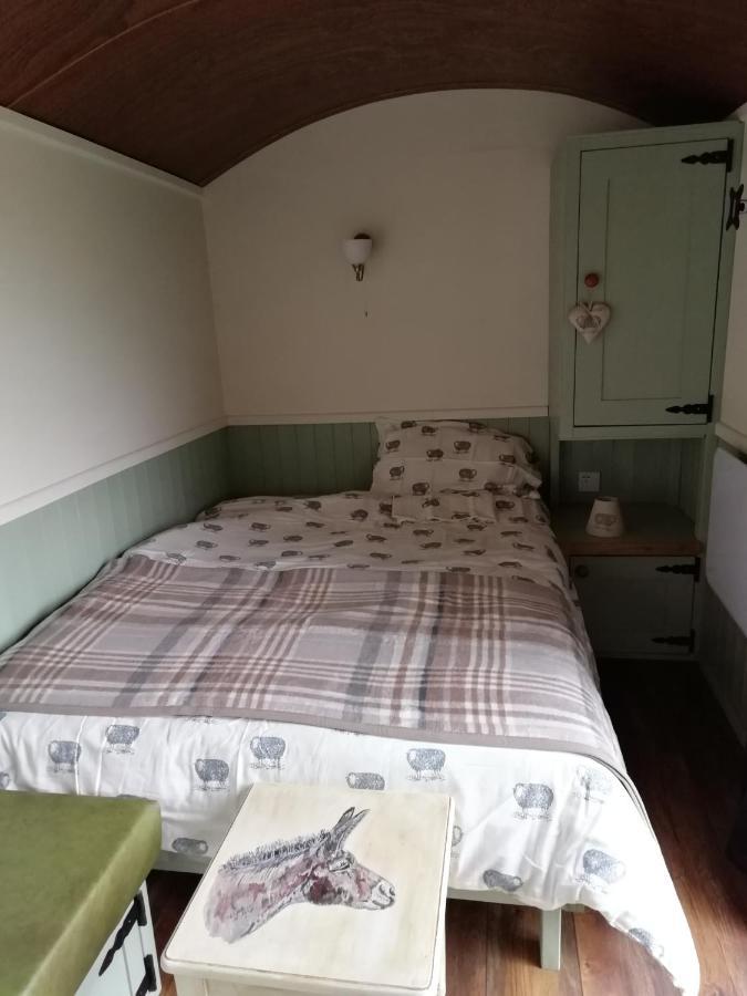 Durham donkey rescue Shepherds hut Hotel Buitenkant foto